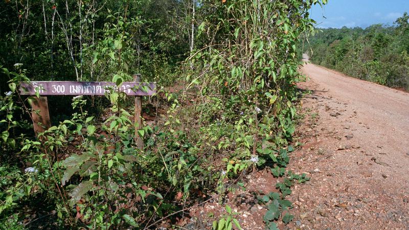 Parue dans : Umphang