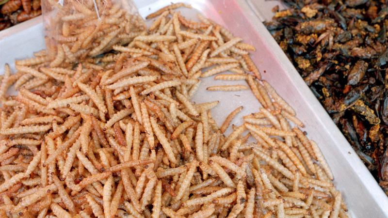 Parue dans : Mae Sot