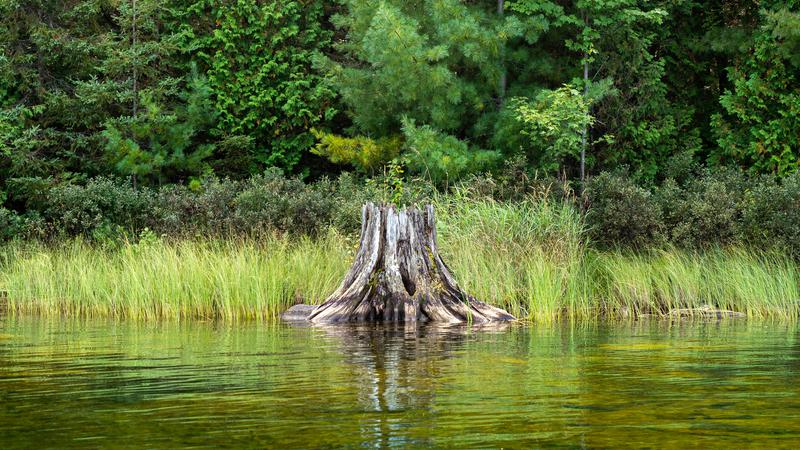 Parue dans : Canot-camping au lac Kipawa