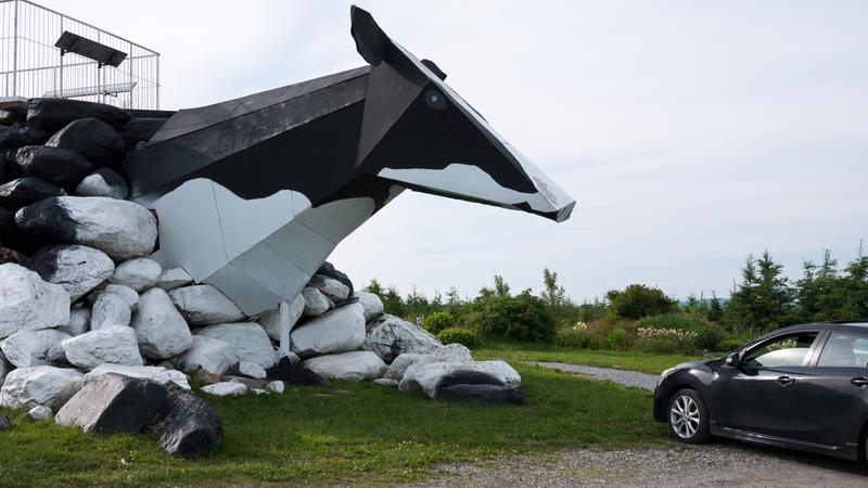 Parue dans : Sur la route
