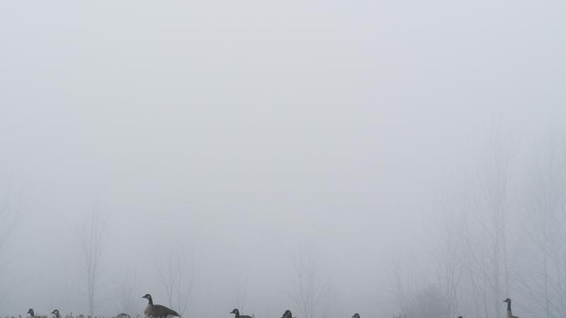 Parue dans : Entre deux saisons