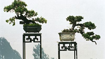 Parue dans : Hong Kong