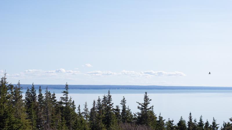 Parue dans : Cape Split