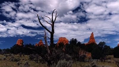 Parue dans : Utah
