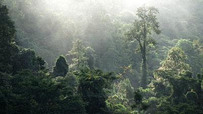 Parue dans : Loei
