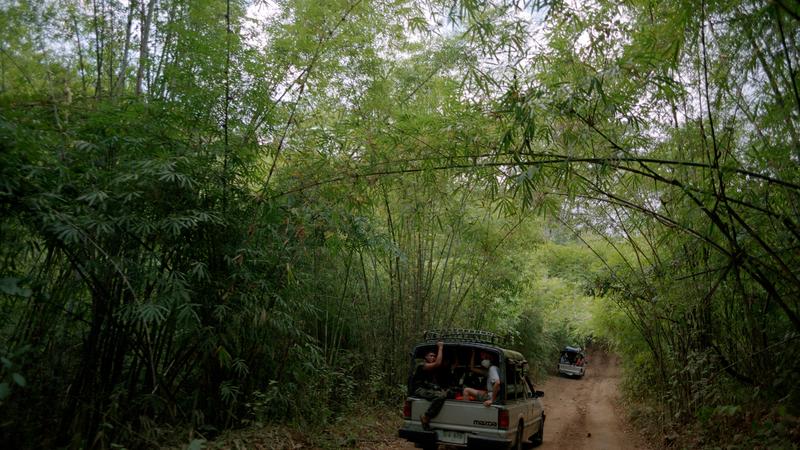 Parue dans : Umphang