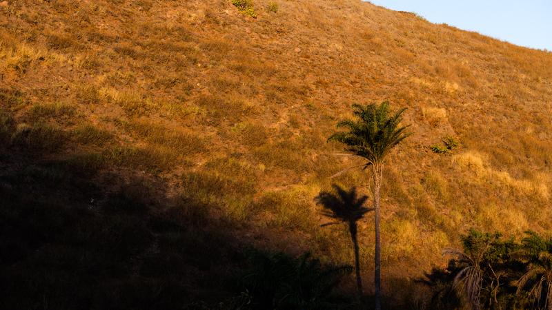 Parue dans : Volcan Telica