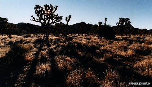 Les déserts de Californie