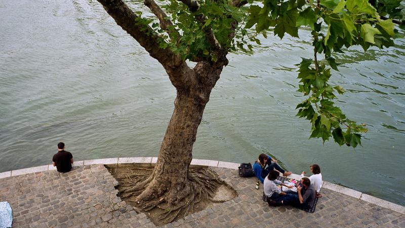 Parue dans : Paris