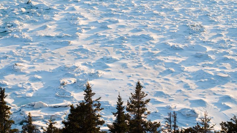 Parue dans : Le parc du Bic, l'hiver