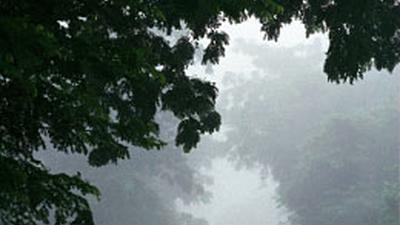 Parue dans : Loei
