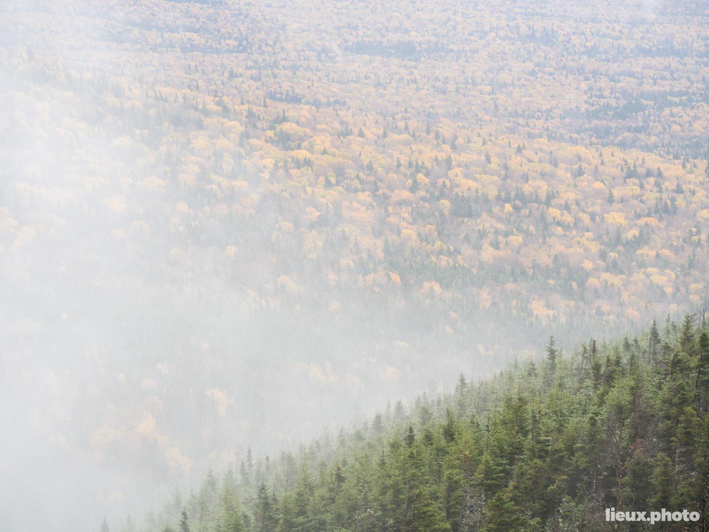 Mont Jefferson Rando lieux.photo