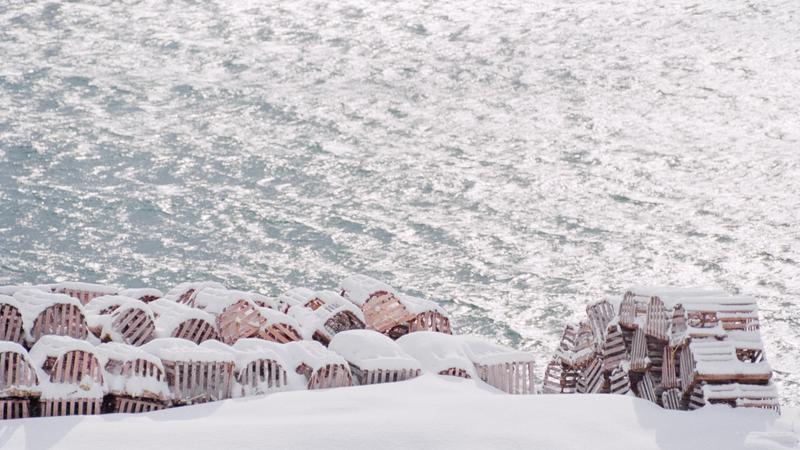 Parue dans : Quand les barques se reposent
