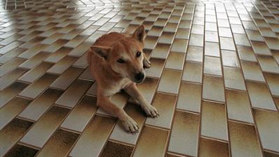 Parue dans : Kanchanaburi