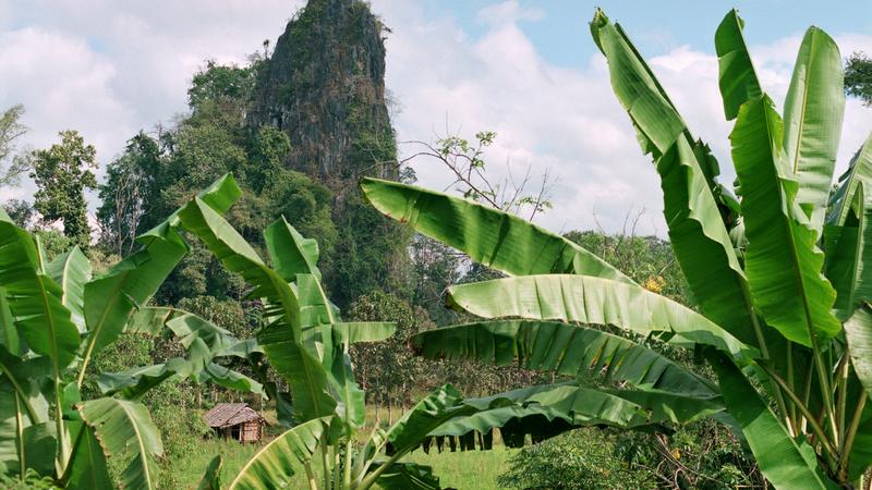 Parue dans : Umphang