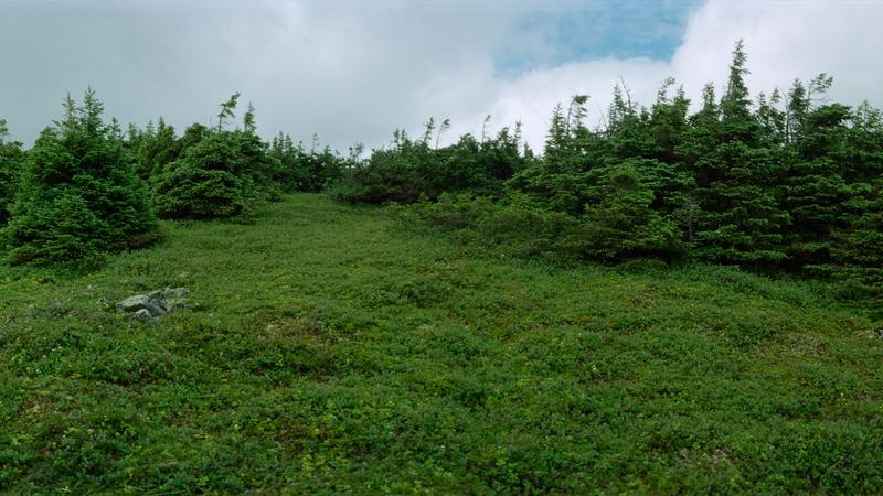 Parue dans : Panoramas sur les Chic-Chocs