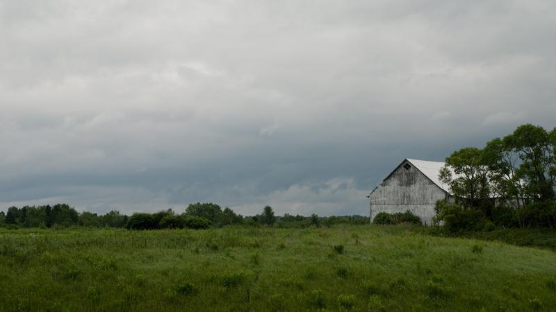 Parue dans : La véloroute des Bleuets