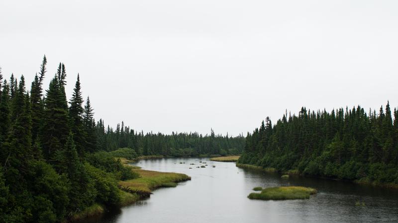 Parue dans : Côte-Nord