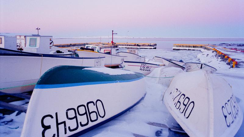 Parue dans : Quand les barques se reposent