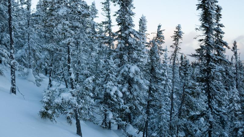 Parue dans : Le mont du Dôme